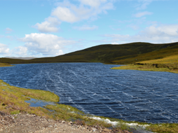 Lochan Hamish